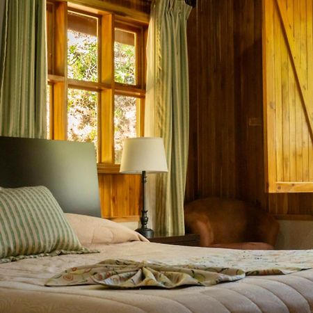 Los Pinos Cabins & Reserve モンテベルデ エクステリア 写真