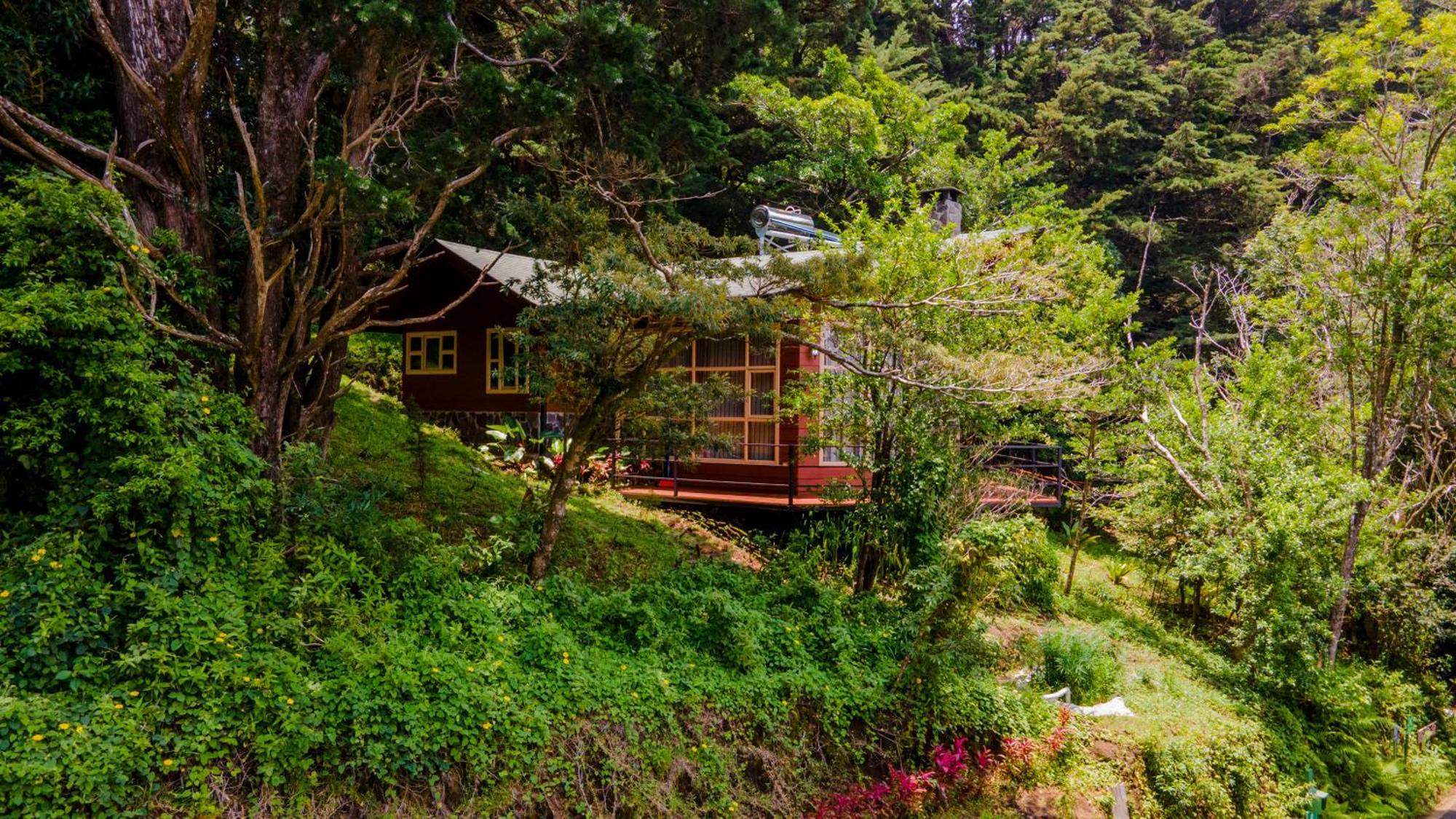 Los Pinos Cabins & Reserve モンテベルデ エクステリア 写真