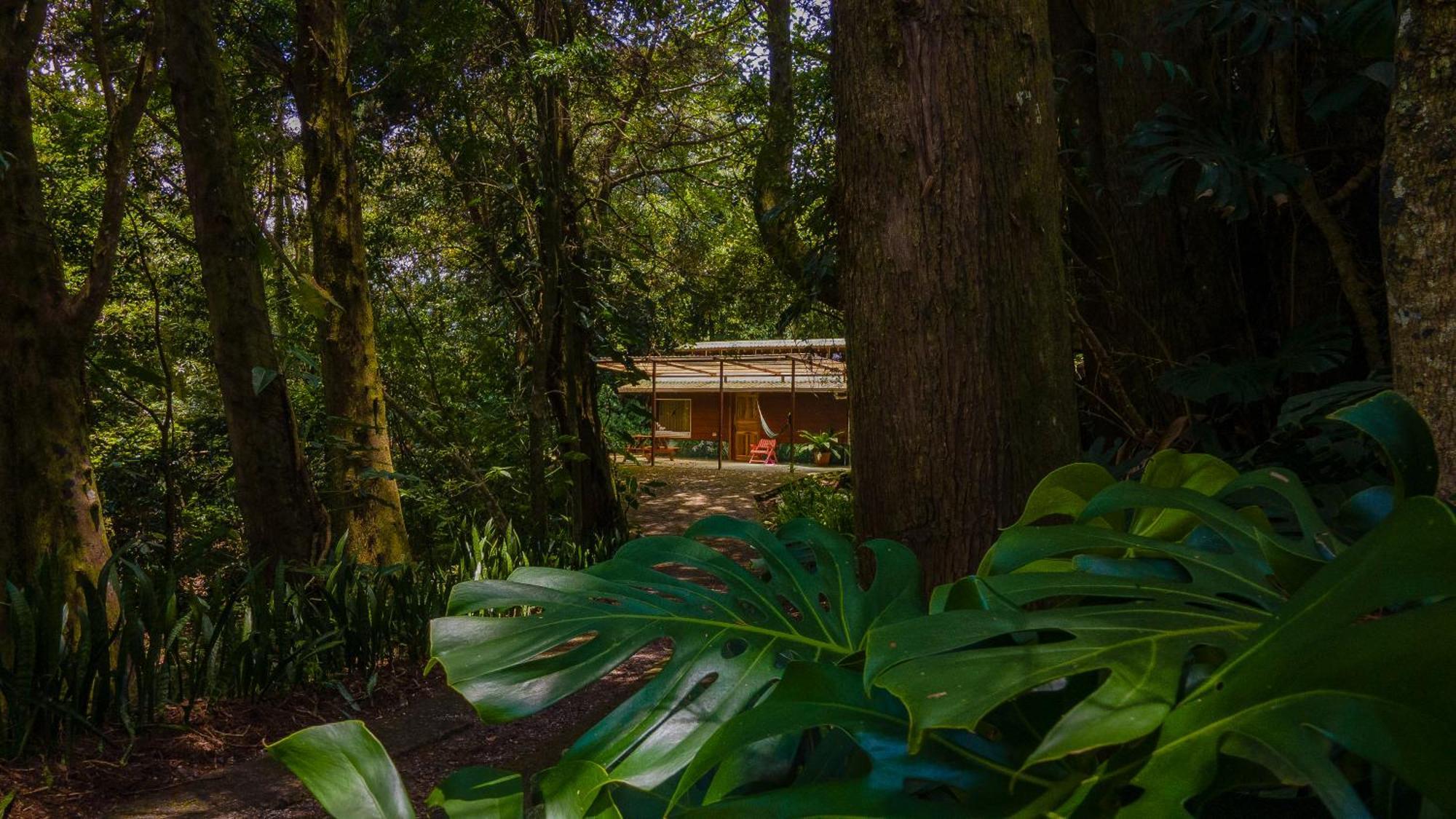 Los Pinos Cabins & Reserve モンテベルデ エクステリア 写真