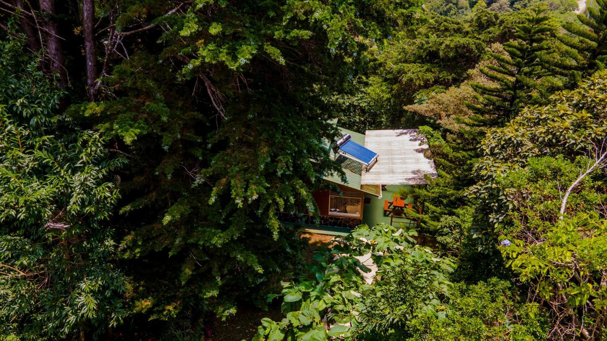 Los Pinos Cabins & Reserve モンテベルデ エクステリア 写真